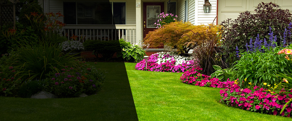 Steamboat Springs Landscapers