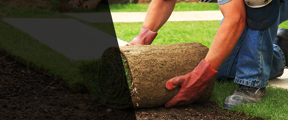 Steamboat Springs Landscapers